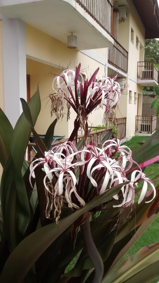 Do Tie 賓館 Ubatuba